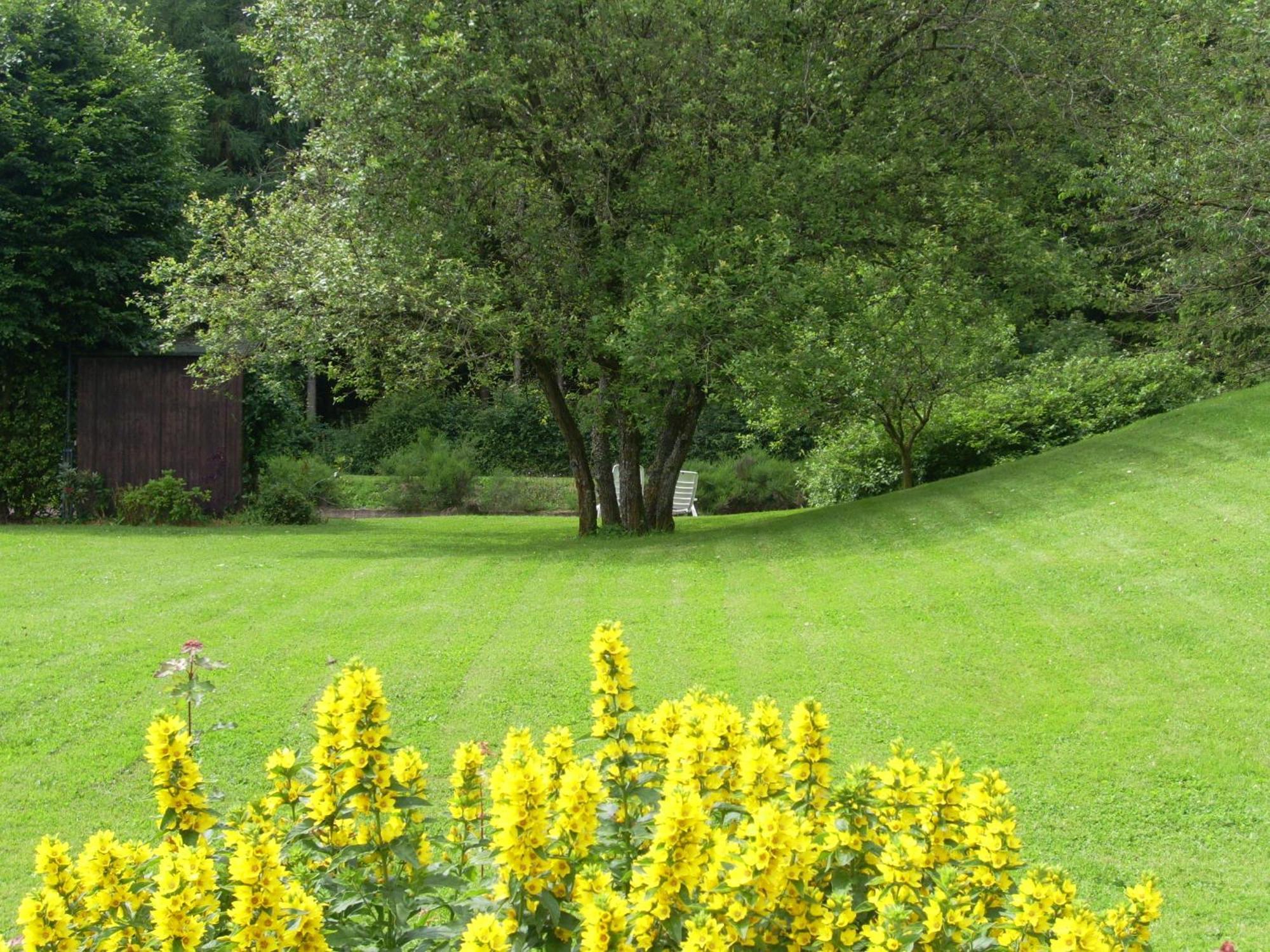 Heidehof Hellenthal Villa Exterior photo
